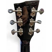 Used Dunable Guitars R2 DE Black Solid Body Electric Guitar