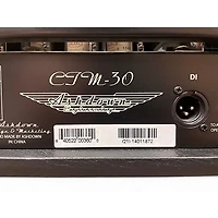 Used Ashdown CTM-30 Tube Bass Amp Head