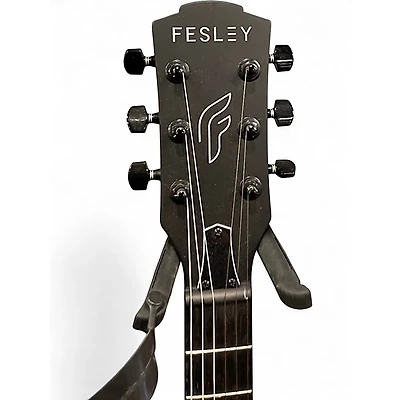 Used Fesley Deluxe Edition Black Solid Body Electric Guitar