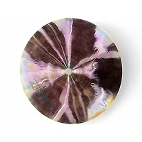 Used Zildjian 8in ZXT Trashformer Cymbal