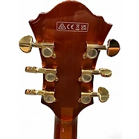 Used Ibanez AF95 Dark Amber Hollow Body Electric Guitar