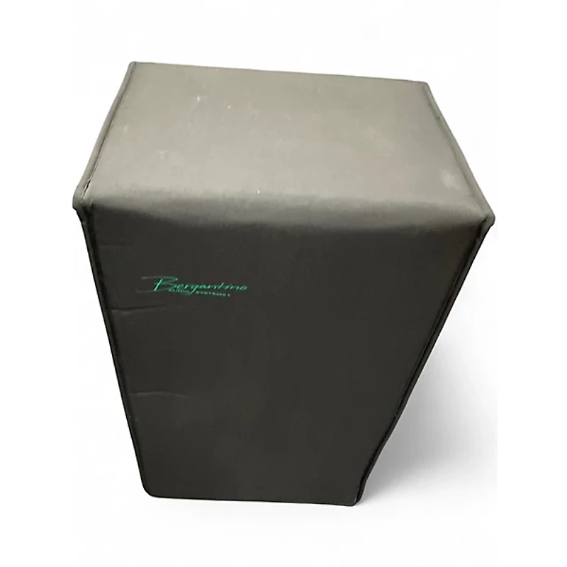 Used Bergentino AE 2X12 Bass Cabinet
