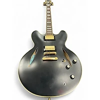 Used Epiphone Emily Wolfe Sheraton Black Hollow Body Electric Guitar