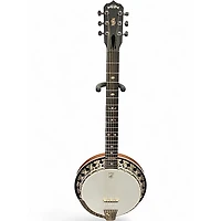Used Deering B6-E Boston Series 6 String Natural Banjo
