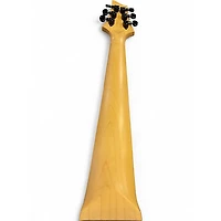 Used Schecter Guitar Research DAMIEN FR Black Solid Body Electric Guitar