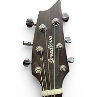 Used Breedlove Discovery Concert Cutaway Mahogany Acoustic Electric Guitar