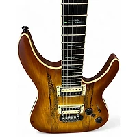 Used Schecter Guitar Research C-1 EXOTIC Spalted Maple Solid Body Electric Guitar