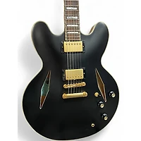 Used Epiphone EMILY WOLFE SHERATON Satin Black Hollow Body Electric Guitar