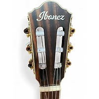 Used Ibanez TOD10NLTKF Black Nylon String Acoustic Guitar