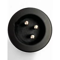 Used Sterling Audio P30 Dynamic Microphone