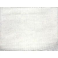 Used Fender Tone Master Twin Reverb 200W 2x12 Guitar Combo Amp