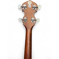 Used Washburn B8K Natural Banjo