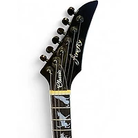 Used Firefly Classic Black Solid Body Electric Guitar
