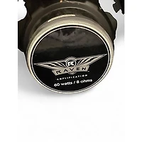 Used Raven RG20 20W 1x12 Guitar Combo Amp