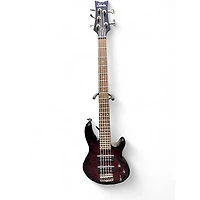 Used Schecter Guitar Research Raiden Special 5 String Trans Red Electric Bass Guitar