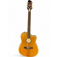 Used LR Baggs AEG-1 Natural Acoustic Electric Guitar