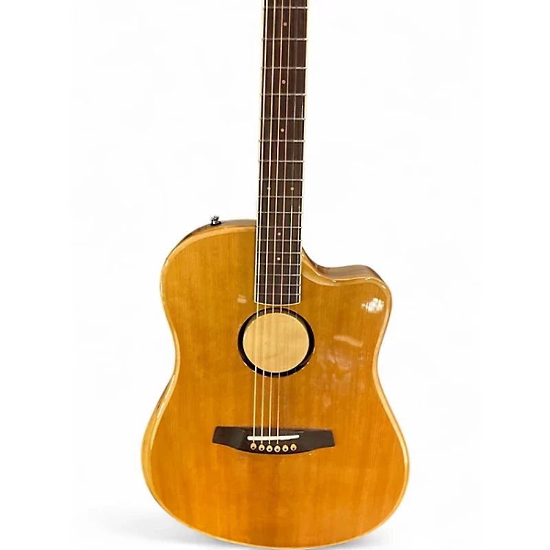 Used LR Baggs AEG-1 Natural Acoustic Electric Guitar