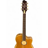 Used LR Baggs AEG-1 Natural Acoustic Electric Guitar