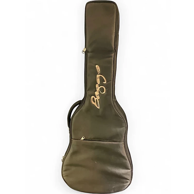 Used LR Baggs AEG-1 Natural Acoustic Electric Guitar