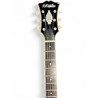 Used D'Angelico EXCEL SS TOUR Black Hollow Body Electric Guitar