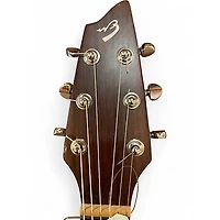 Used Breedlove Passport D200/SMP Natural Acoustic Guitar