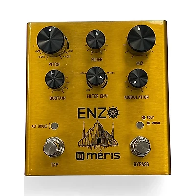 Used Meris Enzo Effect Pedal