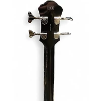 Used Michael Kelly Dragonfly 4 smoke burst Acoustic Bass Guitar