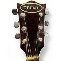 Used Trump Ts21 Red Acoustic Guitar