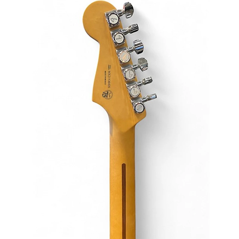 Used Fender Player Plus Stratocaster Green Solid Body Electric Guitar