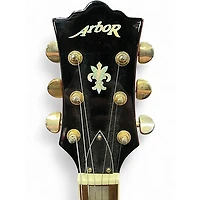 Used Arbor SINGLE CUT Cherry Sunburst Solid Body Electric Guitar