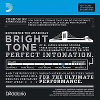 D'Addario EXL170-12 XL Light Long Scale 12-String Nickel Electric Bass Strings