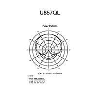 Audio-Technica U857QL Cardioid Condenser Quick-Mount Gooseneck Microphone Black 18.64 in.