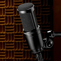 Audio-Technica AT2020 Large-Diaphragm Condenser Microphone