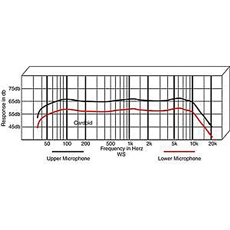 Applied Microphone Technology AMT WS Double Clarinet/Oboe Microphone with BP45 Preamp