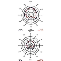 Applied Microphone Technology AMT WS Studio Double Clarinet/Oboe Microphone With AP40 Preamp