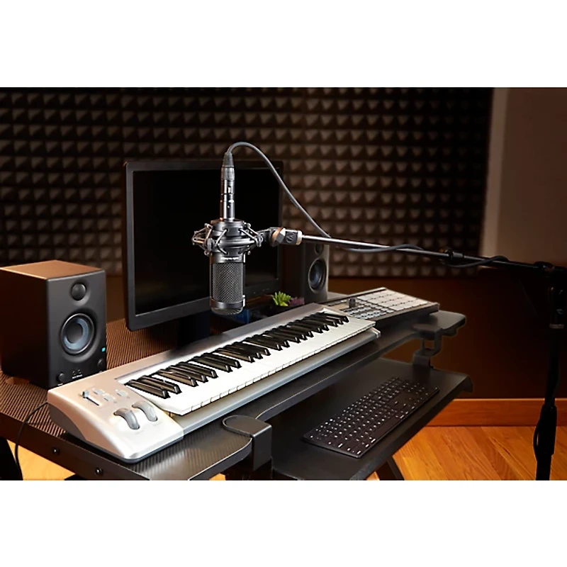 Audio-Technica AT2035 Cardioid Condenser Microphone