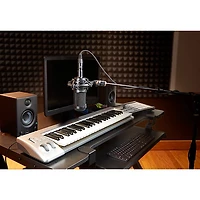 Audio-Technica AT2035 Cardioid Condenser Microphone