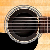 D'Addario Screaching Halt Guitar Soundhole Plug