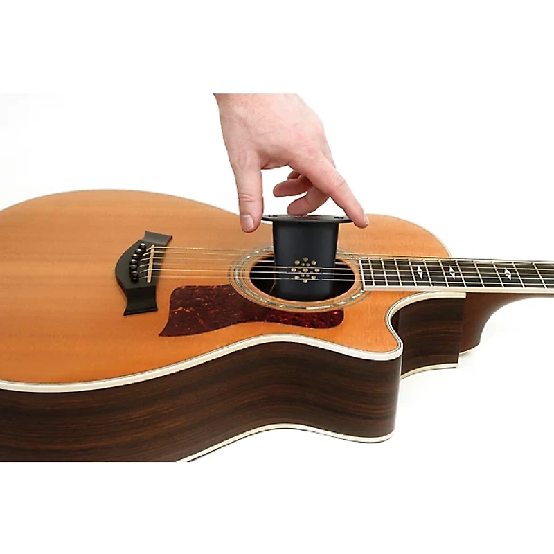 D'Addario Acoustic Guitar Humidifier