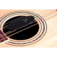 D'Addario Acoustic Guitar Humidifier