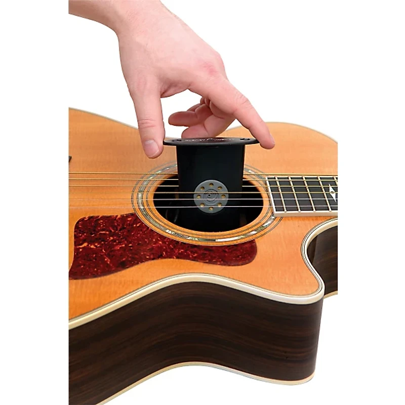 D'Addario Acoustic Guitar Humidifier