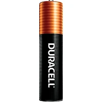 Duracell AAA Batteries 4-Pack