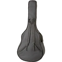 Luna Gypsy Muse Acoustic Guitar Package