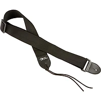 Luna Gypsy Muse Acoustic Guitar Package