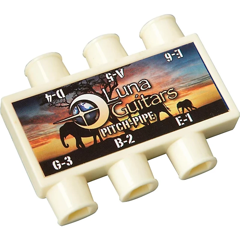 Luna Gypsy Muse Acoustic Guitar Package