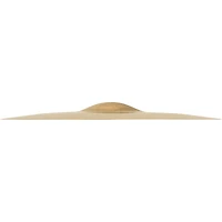 SABIAN HHX Evolution Series Crash Cymbal