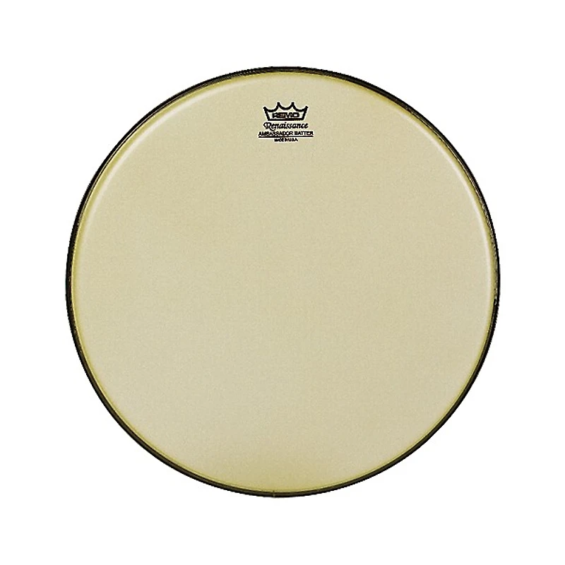 Remo Renaissance Ambassador Tom Batter