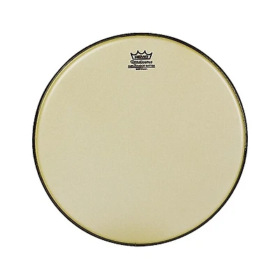 Remo Renaissance Ambassador Tom Batter