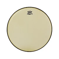 Remo Renaissance Ambassador Tom Batter