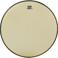 Remo Renaissance Ambassador Tom Batter